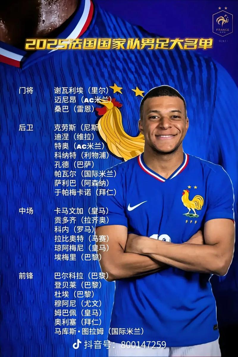 世界杯法国队名单介绍，世界杯法国队长是谁？