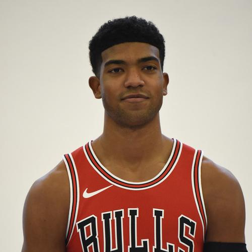 nba钱德勒哈奇森，钱德勒哈气森？